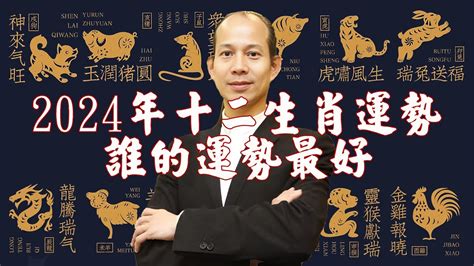 屬龍今年幸運色|2024龍年生肖運程｜屬龍/蛇/馬整體運勢，雲文子犯太 